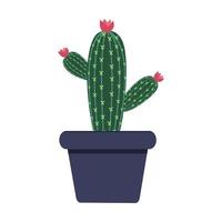 cactus pictogram op witte achtergrond vectorillustratie. vector