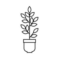 kamerplant in pot naturel icoon vector