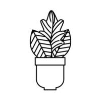 kamerplant in pot naturel icoon vector