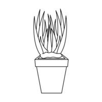 kamerplant in pot naturel icoon vector