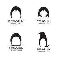 pinguïn logo sjabloon vector icoon