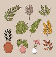 bundel van tien boho-stijl bladeren planten decoratieve natuur pictogrammen vector