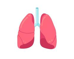 longen platte pictogram. menselijk ademhalingssysteem gezond inwendig orgaan. gezondheidszorg ademhaling geneeskunde anatomie vectorillustratie vector