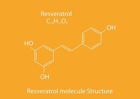 resveratrol molecuul skelet- formule. geloofde naar hebben een aantal van positief Gezondheid Effecten. vector illustratie.