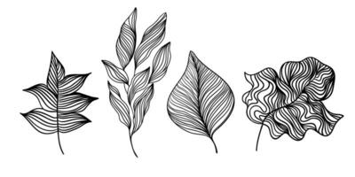 reeks van lineair bladeren en takken. zwart en wit lijn kunst planten geïsoleerd Aan wit achtergrond vector