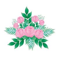 roze kleur rozen bloemen en bladeren decoratieve icon vector