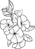 hand geschilderd oenothera tetraptera bloemen illustratie geïsoleerd Aan wit achtergronden, gegraveerde inkt kunst bloemen kleur Pagina's, en boeken voor afdrukken februari geboorte bloem tatoeëren, primula geboorte bloem vector