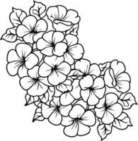 geboorte bloem primula tekening. sleutelbloem boeket, van bloem ontwerp voor kaart of afdrukken. hand geschilderd oenothera tetraptera bloemen illustratie geïsoleerd Aan wit achtergronden kleur bladzijde voor volwassenen, vector