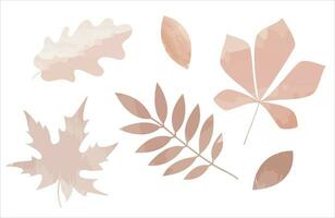 pastel reeks van waterverf herfst blad.vector illustratie vector