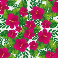 achtergrond van schattige bloemen fuchsia kleur met takken en bladeren vector