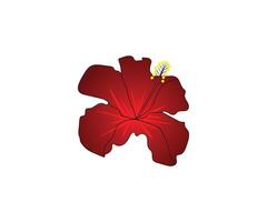 rood hibiscus bloem tekening vector lijn kunst icoon grafiek kleur bladzijde voor kinderen vrij downloaden