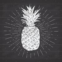 vintage label, hand getrokken ananas, grunge getextureerde retro badge sjabloon, typografie ontwerp vectorillustratie vector