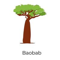 baobab hoge boom vector