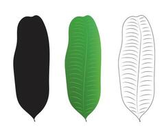 geïsoleerd banaan fabriek bladeren vector illustraties met lijn kunst