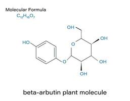 alfa-arbutine fabriek molecuul skelet- formule. vector