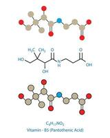 pantotheenisch zuur, vitamine b5 moleculair structureel chemisch formule vector illustratie.