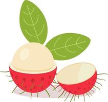 ramboetan met bladeren en geïsoleerde witte background.vector illustration.rambutan fruit in tweeën gedeeld vector