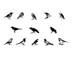 verzameling van vogel pictogrammen, vogelstand kunsten. vogelstand silhouetten vector illustratie.