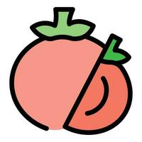 tomaat veganistisch voedsel icoon vector vlak