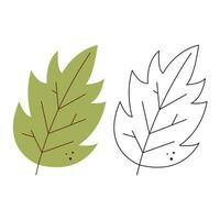 klein reeks met twee abstract herfst blad tekening. zwart en wit en kleur clip art vector illustratie.