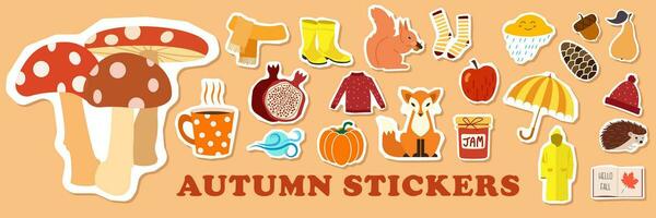herfst stickers pictogrammen set. schattig herfst afbeeldingen rubber laarzen, boek, kop van thee, trui, paraplu, taart, appel, paddestoelen, bladeren bloemen enz geïsoleerd pictogrammen stickers vector