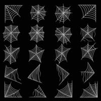 spinneweb spin element vector illustratie