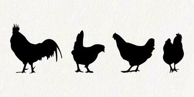 vector silhouet reeks van gedetailleerd kwaliteit kippen - kippen, gevogelte, hanen, pik en baby kuikens in boerderij