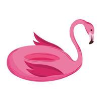 flamingo float geïsoleerd vector