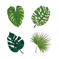 tropische bladeren instellen vector