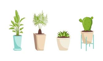 een set kamerplanten in een pot en op een houten standaard groene bladeren van bananen dadelpalm cactus en sappig interieur bloemdecoratie voor een appartementencomplex of tuin vector