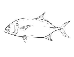 grote Oceaan crevalle jack of caranx caninus kant visie tekenfilm tekening vector