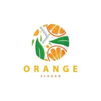 oranje plak fruit logo, vers sap fruit ontwerp symbool sjabloon vector illustratie