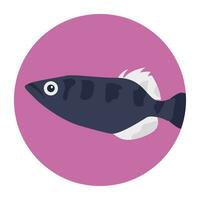 een schattig aquatisch tekenfilm vis vector icoon