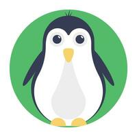 pinguïn, een groot looploos zeevogel met zwart bovenste een deel en wit onder een deel en Vleugels ontwikkelde in flippers voor zwemmen onderwater- vector