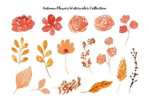 wijnoogst herfst bloem en blad waterverf verzameling vector