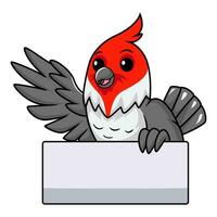 schattig rood kuif- kardinaal vogel tekenfilm golvend hand- vector