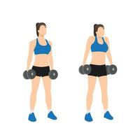 vrouw aan het doen halter haalt zijn schouders op oefening. vlak vector illustratie geïsoleerd Aan wit achtergrond