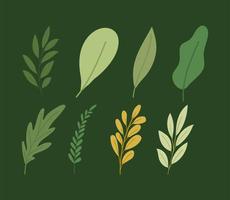 set van planten met veel bladeren vector illustratie ontwerp