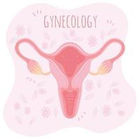 gynaecologie vrouwelijk voortplantingsorgaan icoon vector