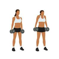vrouw aan het doen halter haalt zijn schouders op oefening. vlak vector illustratie geïsoleerd Aan wit achtergrond
