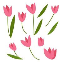 vlak roze tulpen boeket in vaas vector illustratie. roze tulpen in grijs vaas geïsoleerd