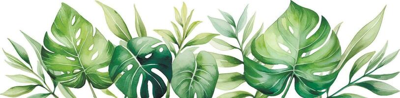 waterverf tekening, grens, samenstelling met tropisch palm bladeren en monstera vector