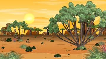 Afrikaanse savanne boslandschapsscène in zonsondergangtijd vector