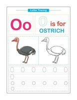 hoofdletters en kleine letters. schattig kinderen. kleurrijk abc alfabet traceren. praktijk werkblad voor kinderen. aan het leren Engels woordenschat en handschrift. brief spoor. vector illustratie