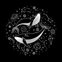 vector illustratie met walvissen in ruimte