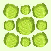 groen groente kool vector illustratie voor grafisch ontwerp en decoratief element