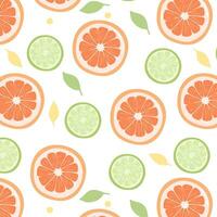 grapefruit en limoen naadloos patroon. citrus patroon voor stoffen, verpakking, achtergronden vector