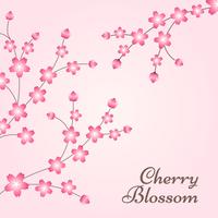 Cherry Blossom Spring Design achtergrond vector