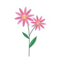 roze bloemblaadjes bloemen natuur icon vector