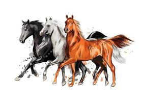 drie paarden rennen galop van een scheutje aquarel, met de hand getekende schets. vectorillustratie van verf vector